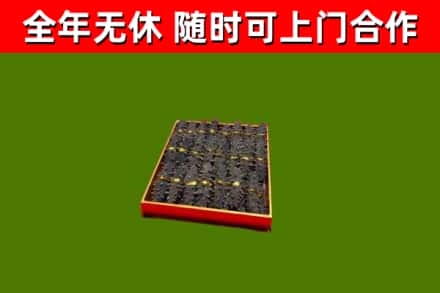 理县回收海参